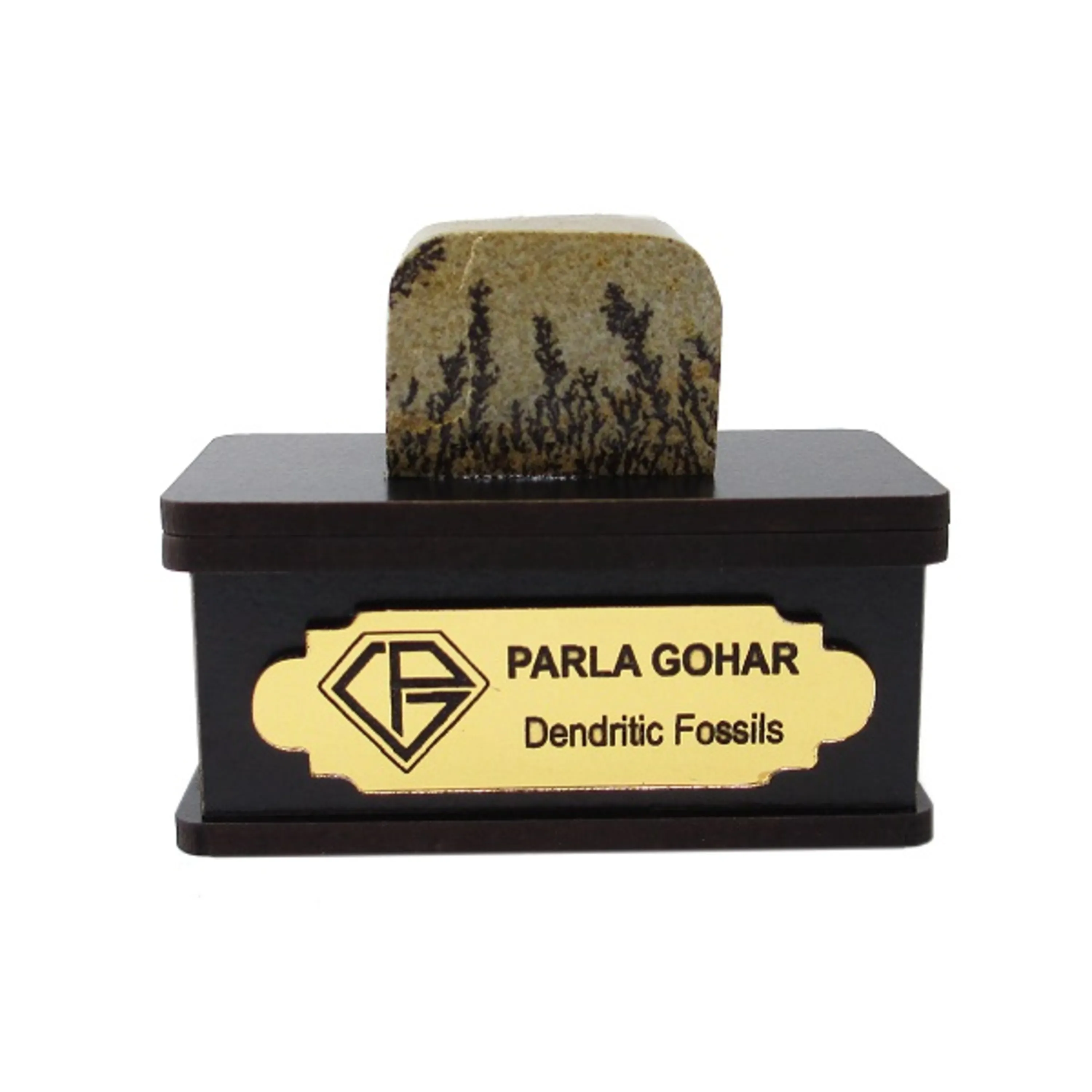 خرید شجر  فسیل 2209